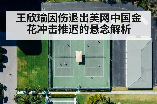 王欣瑜因伤退出美网中国金花冲击推迟的悬念解析